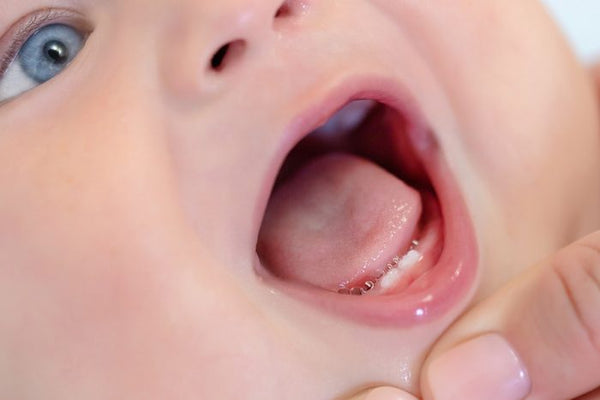 Cuidado de encías y primeros dientes del bebé